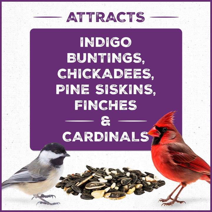 Pennington Songbird Nut &amp; Fruit Blend Wild Bird Seed for Outside Feeders