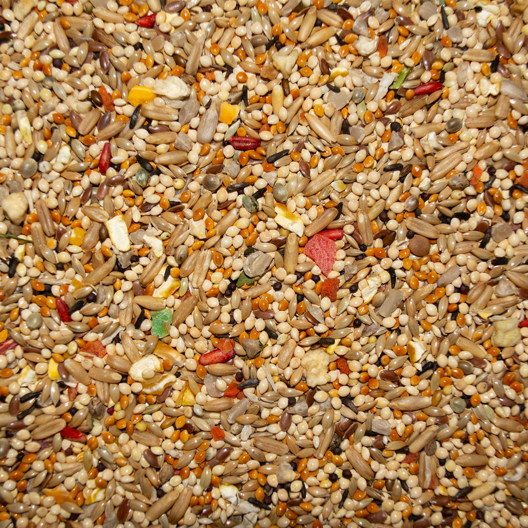 Volkman Avian Science Super Parakeet Bird Food 4lb