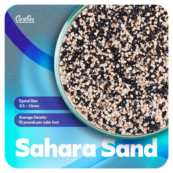 CaribSea African Cichlid Mix Sahara Sand - 20 lb - Natural Substrate Buffers pH, Ideal for African Cichlids, Enhances Color &amp; Behavior in Freshwater Aquariums