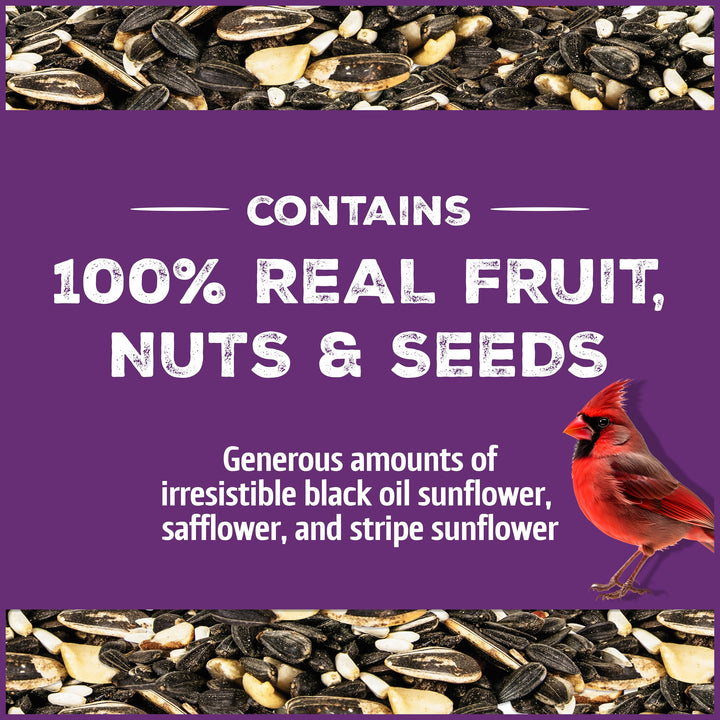 Pennington Songbird Nut &amp; Fruit Blend Wild Bird Seed for Outside Feeders