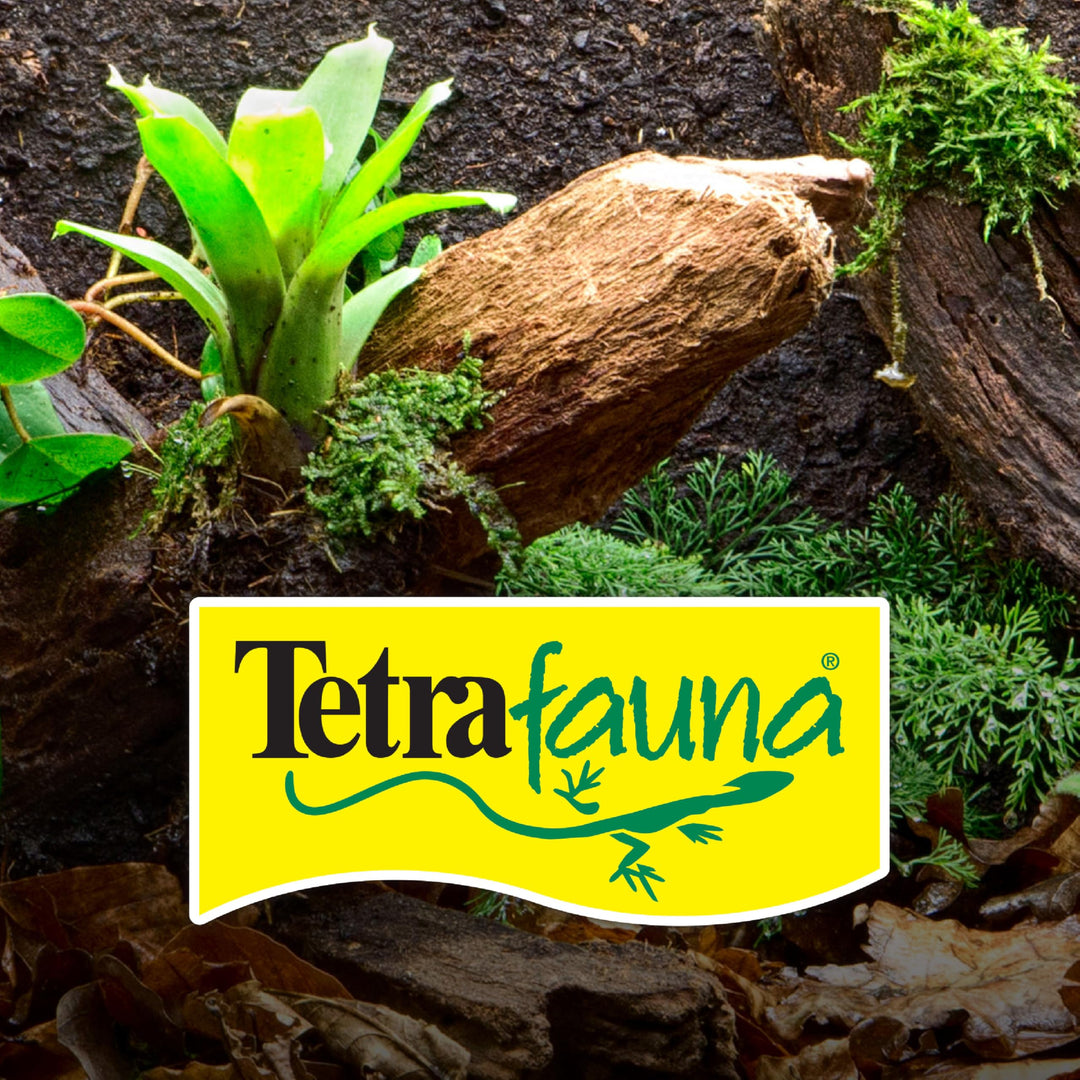 Tetra ReptoFilter Medium Filter Cartridges for Terrariums, 3 Count
