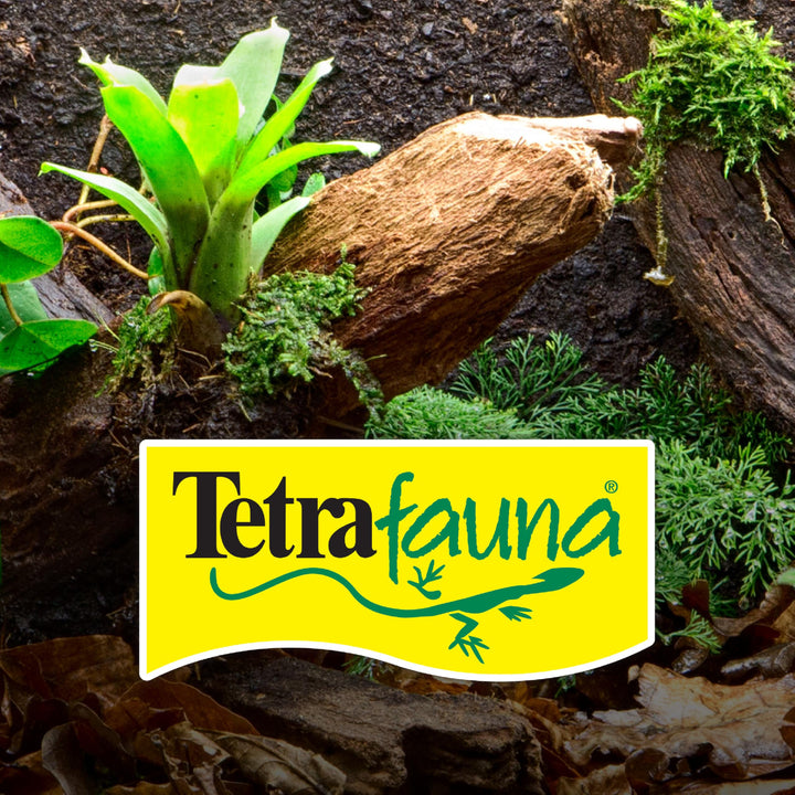 Tetra ReptoFilter Medium Filter Cartridges for Terrariums, 3 Count