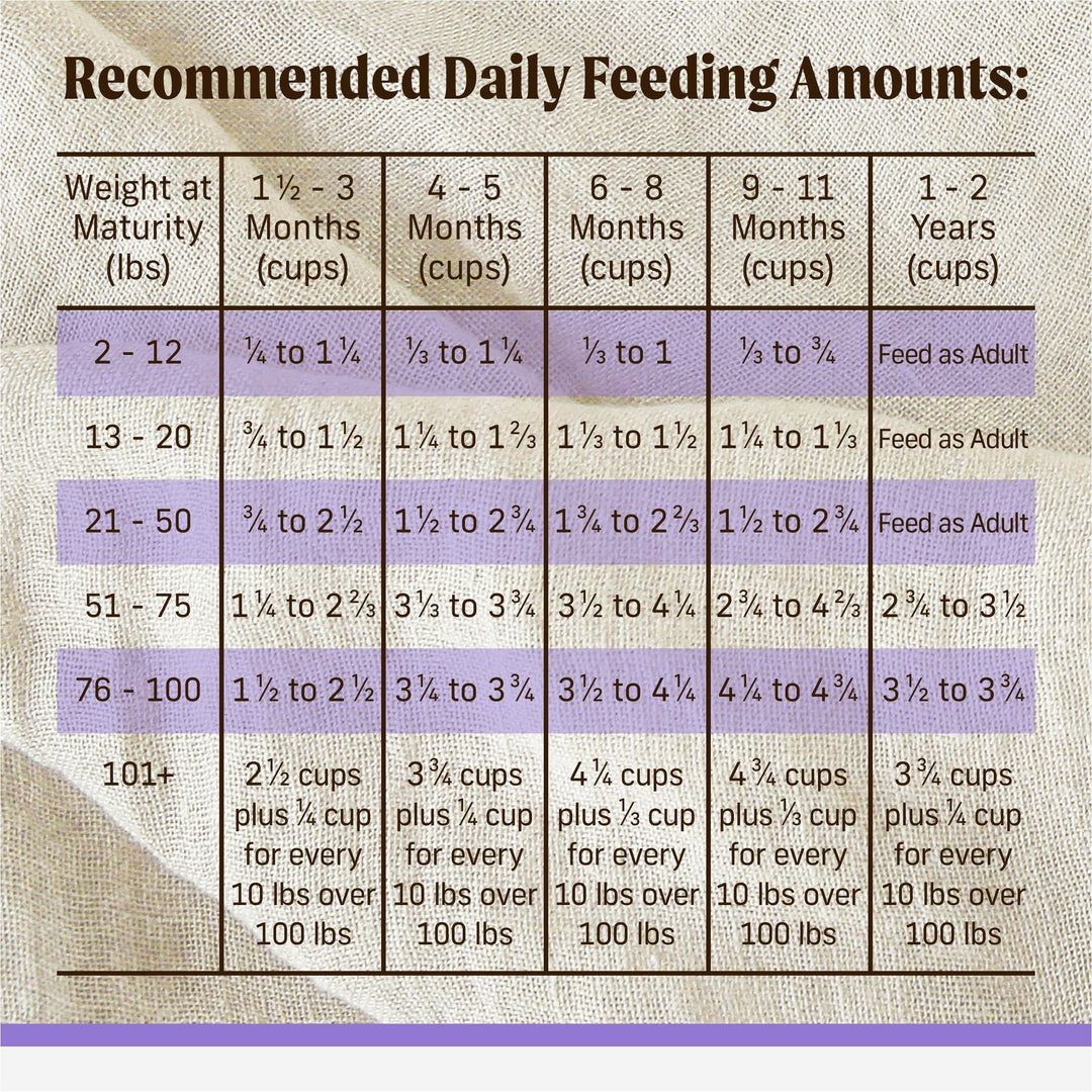 Merrick Backcountry Healthy Grains Premium Dry Puppy Food, 10 lb. Bag