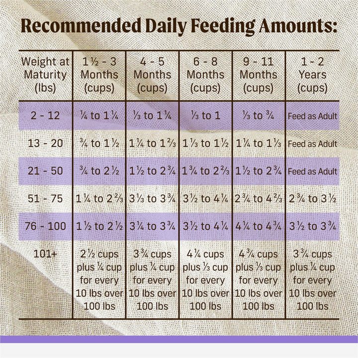 Merrick Backcountry Healthy Grains Premium Dry Puppy Food, 10 lb. Bag