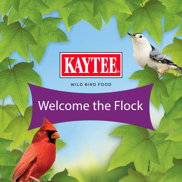 Kaytee Nut &amp; Fruit Wild Bird Seed, 5 lb