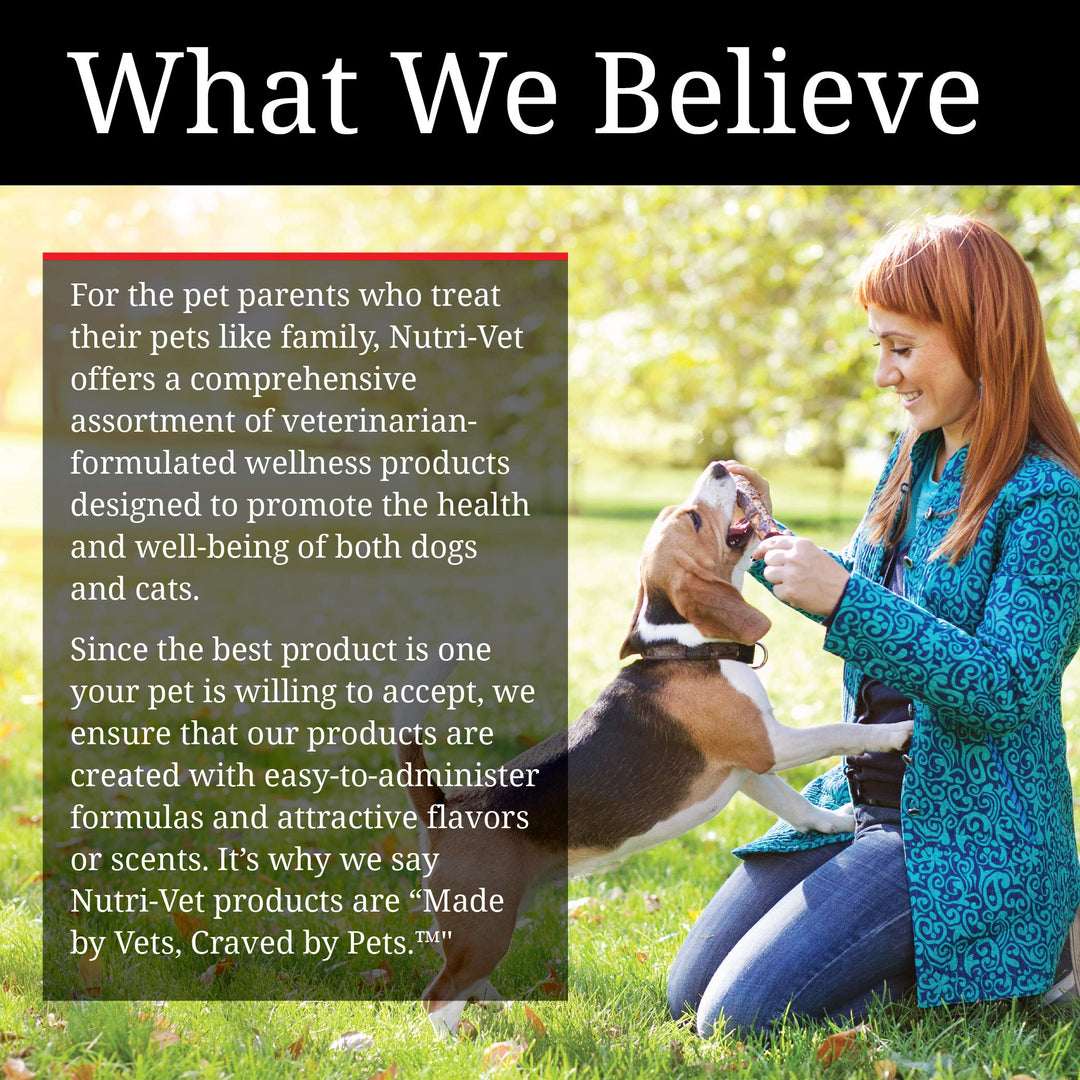 Nutri-Vet Bitter Bandage for Dogs and Cats - Help Prevent Chewing - 3 inches