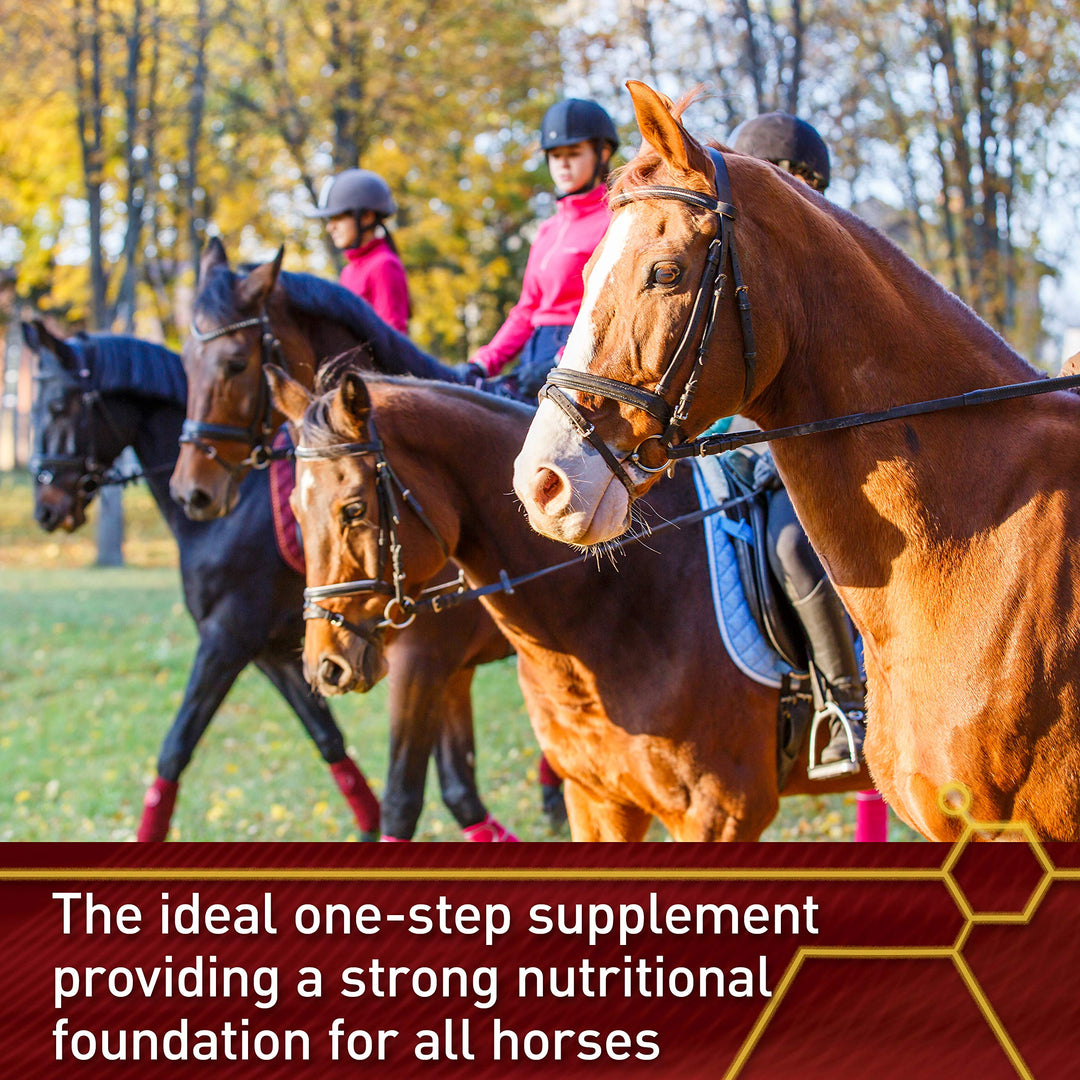 Vita Flex Pro Accel Health &amp; Wellness, Horse Supplement, 240-Day Supply