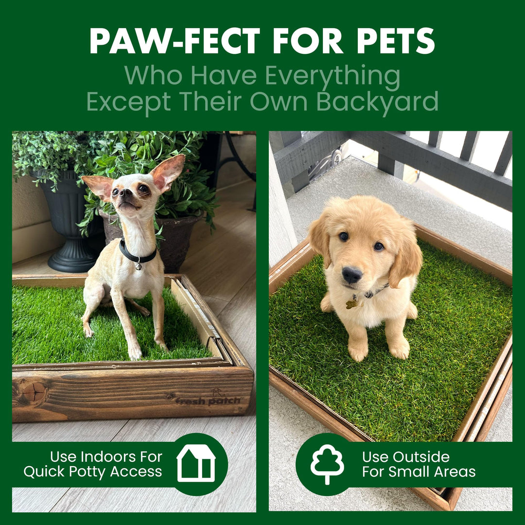 Fresh Patch Real Grass Patch for Dogs, Cats, and Small-Medium Pets Under 15 Pounds – Disposable Pet Grass Pee Pads – Indoor and Outdoor Potty Training Mat (16 Inches x 24 Inches)