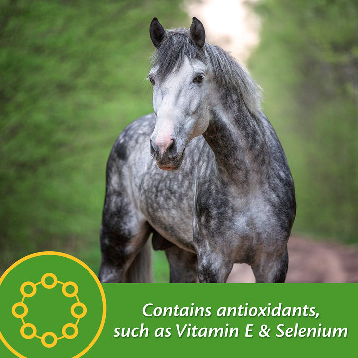 Farnam Vita Plus Balanced Multi-Vitamin &amp; Mineral Horse Supplement, Vitamin Supplements, Provides Balanced Nutrition to Support Overall Health and Performance, 3.75 Pounds, 30 Day Supply