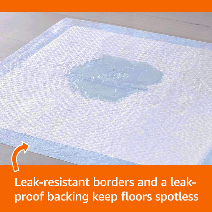 Amazon Basics Scented Dog and Puppy Potty Training Pee Pads, 5-Layer Leak-Proof Super Absorbent with Quick-Dry Surface, Regular Size 22 x 22 Inch, Blue &amp; White, 100 Count