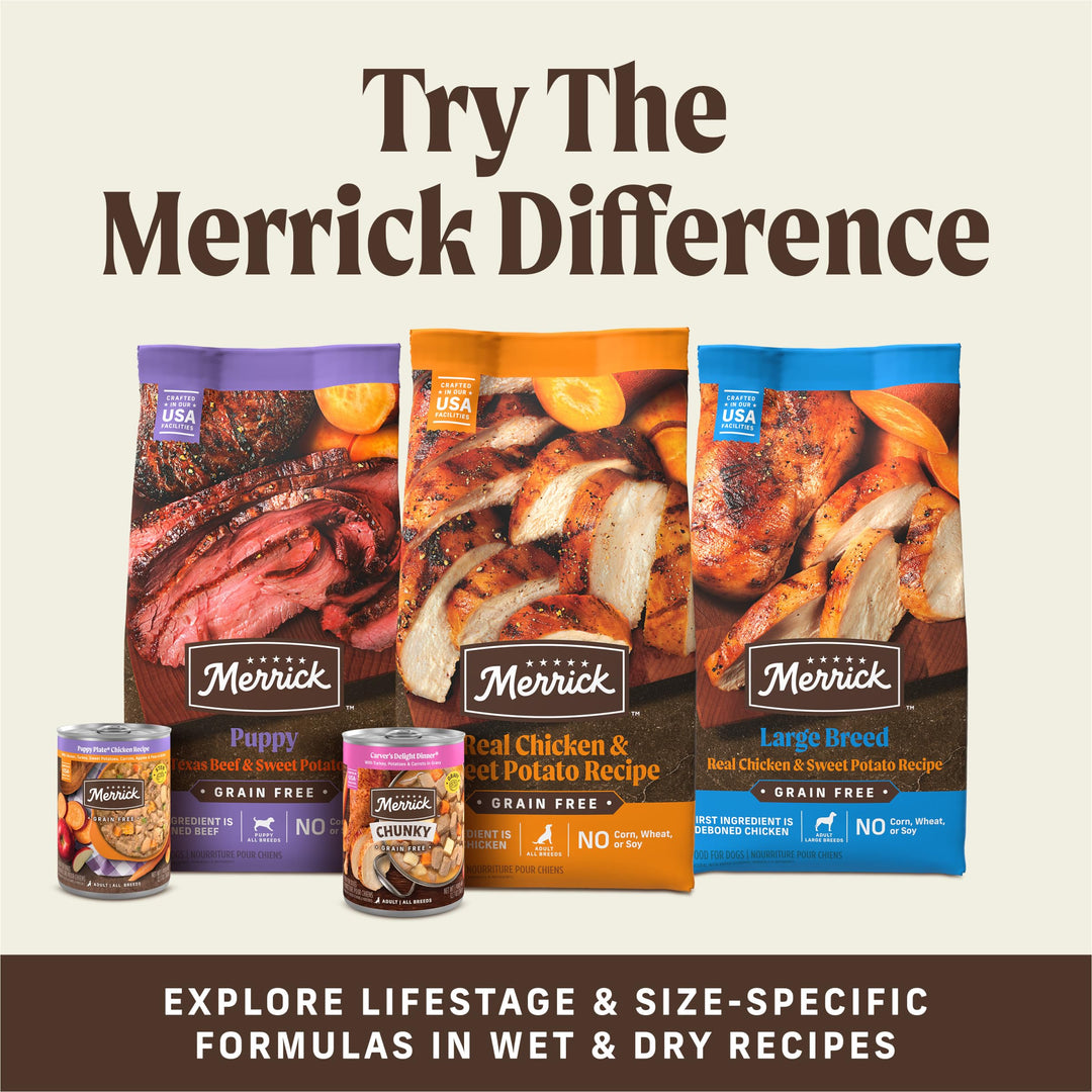 Merrick Power Bites Real Beef Natural Grain Free Dog Treats 6 oz Pouch