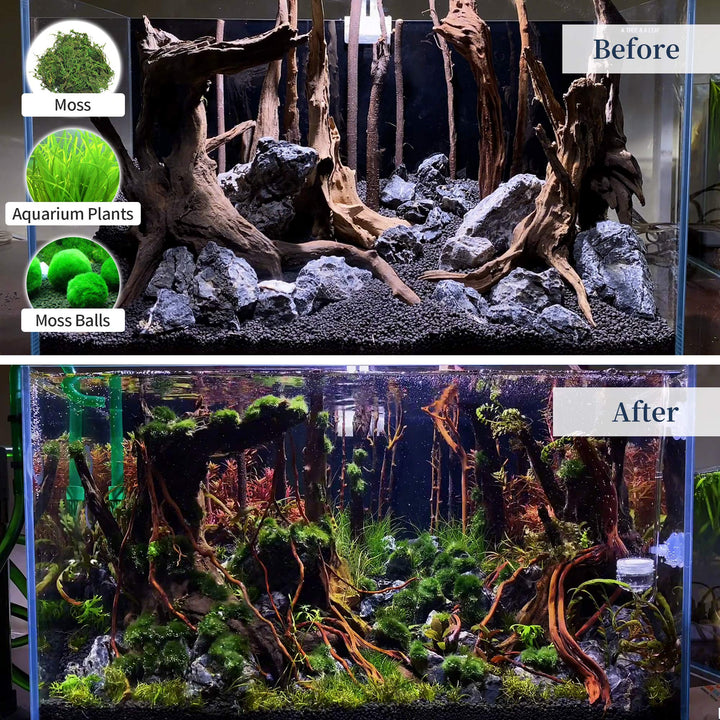 majoywoo Natural Driftwood for Aquarium Decor Fish Tank Decor Reptile Decor