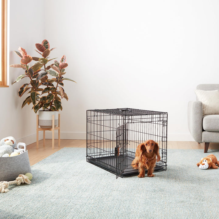 Amazon Basics Portable, Foldable Metal Wire Dog Crate with Removable Tray, Single Door, Divider Panel, Quick Setup, 30 x 19 x 21 in, Black