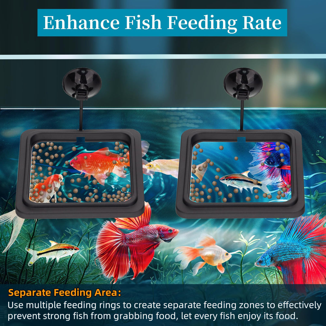 DaToo Fish Feeding Ring Aquarium Square Floating Food Feeder Circle with Strong Suction Cup Fish Tank Feeding Ring for Betta Goldfish Guppy