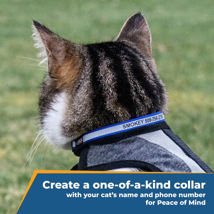 GoTags Personalized Reflective Cat Collars, Engraved Custom Cat Collar