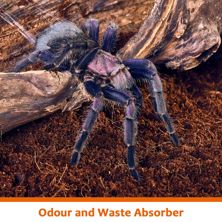 Riare 2 Pack Natural Coconut Fiber Substrate, Coco Coir Reptile Bedding