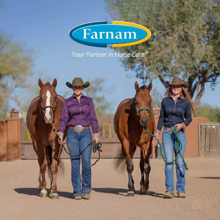 Farnam Apple Elite Horse Electrolyte Powder, Replaces Minerals Lost in Sweat During Exercise, Extreme Weather &amp; Stressful Conditions, 5 lb., 40 Day Supply (Pack of 2)