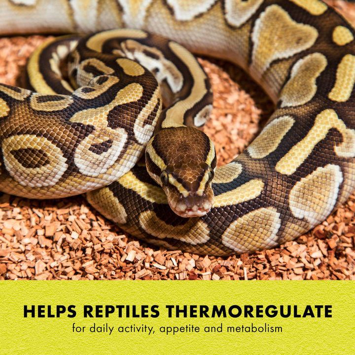 Zilla Heat Mat for Reptiles, Terrarium Heater, Small, 8 Watt