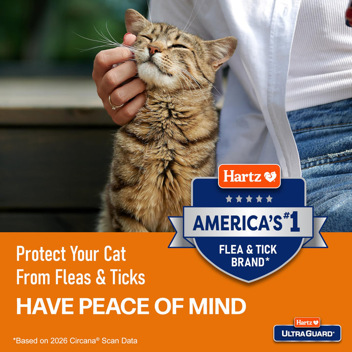Hartz UltraGuard Flea &amp; Tick Collar for Cats and Kittens, 7 Month Flea and Tick Protection and Prevention, White