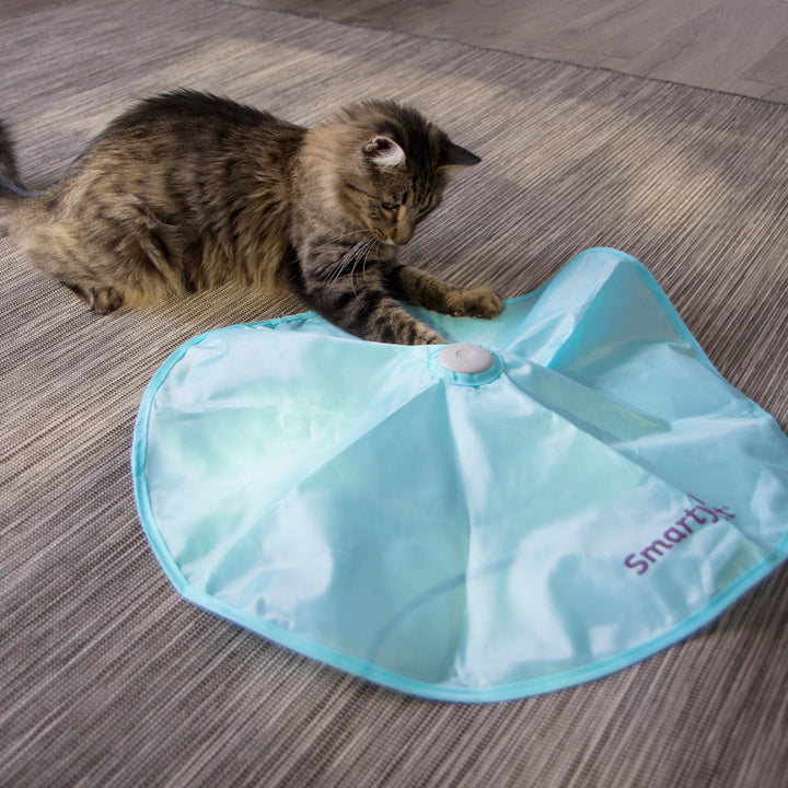 SmartyKat Hot Pursuit Electronic Concealed Motion Cat Toy, Unpredictable Erratic Movement Mimics Prey for Active Hunting for Cats &amp; Kittens, Battery Powered