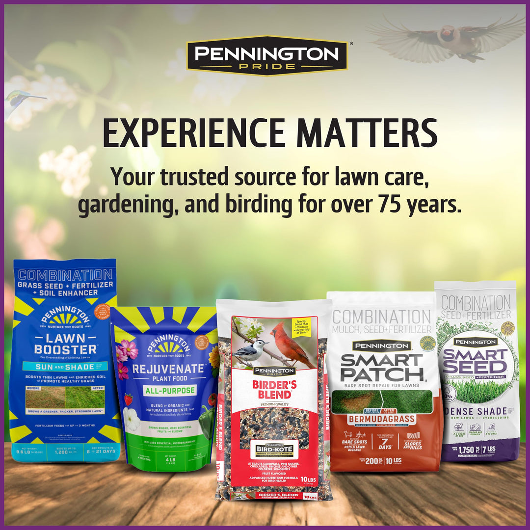 Pennington Songbird Nut &amp; Fruit Blend Wild Bird Seed for Outside Feeders