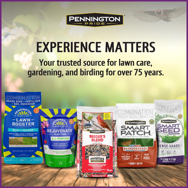 Pennington Songbird Nut &amp; Fruit Blend Wild Bird Seed for Outside Feeders