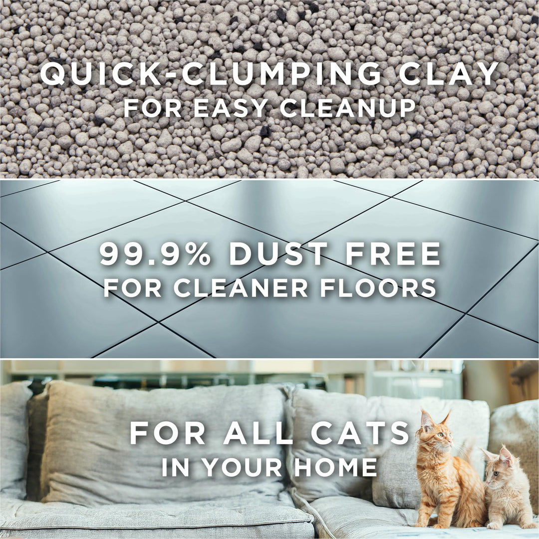 Purina Tidy Cats Free and Clean Unscented Clumping Cat Litter, 38 lb Box
