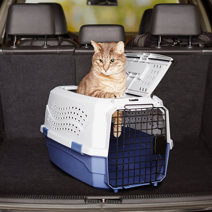 Amazon Basics Sturdy Portable 2-Door Top-Load Hard-Sided Pet Travel Carrier with Secure Ventilation, Handle, Front &amp; Top Entry for Dogs, Cats, 22.8"L x 15"W x 13"H, Gray &amp; Blue