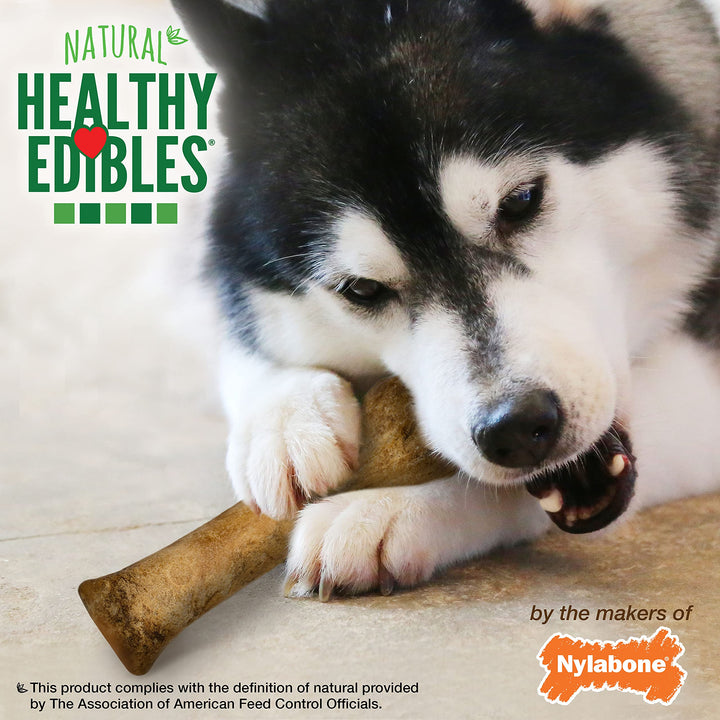 Nylabone Healthy Edibles Natural Dog Chews, Roast Beef Flavor, XL, 1 Ct