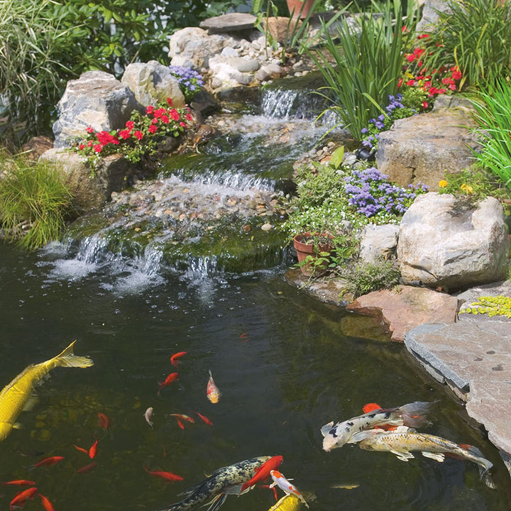 Tetra Pond Sticks Fish Food For Goldfish &amp; Koi, 1 lbs