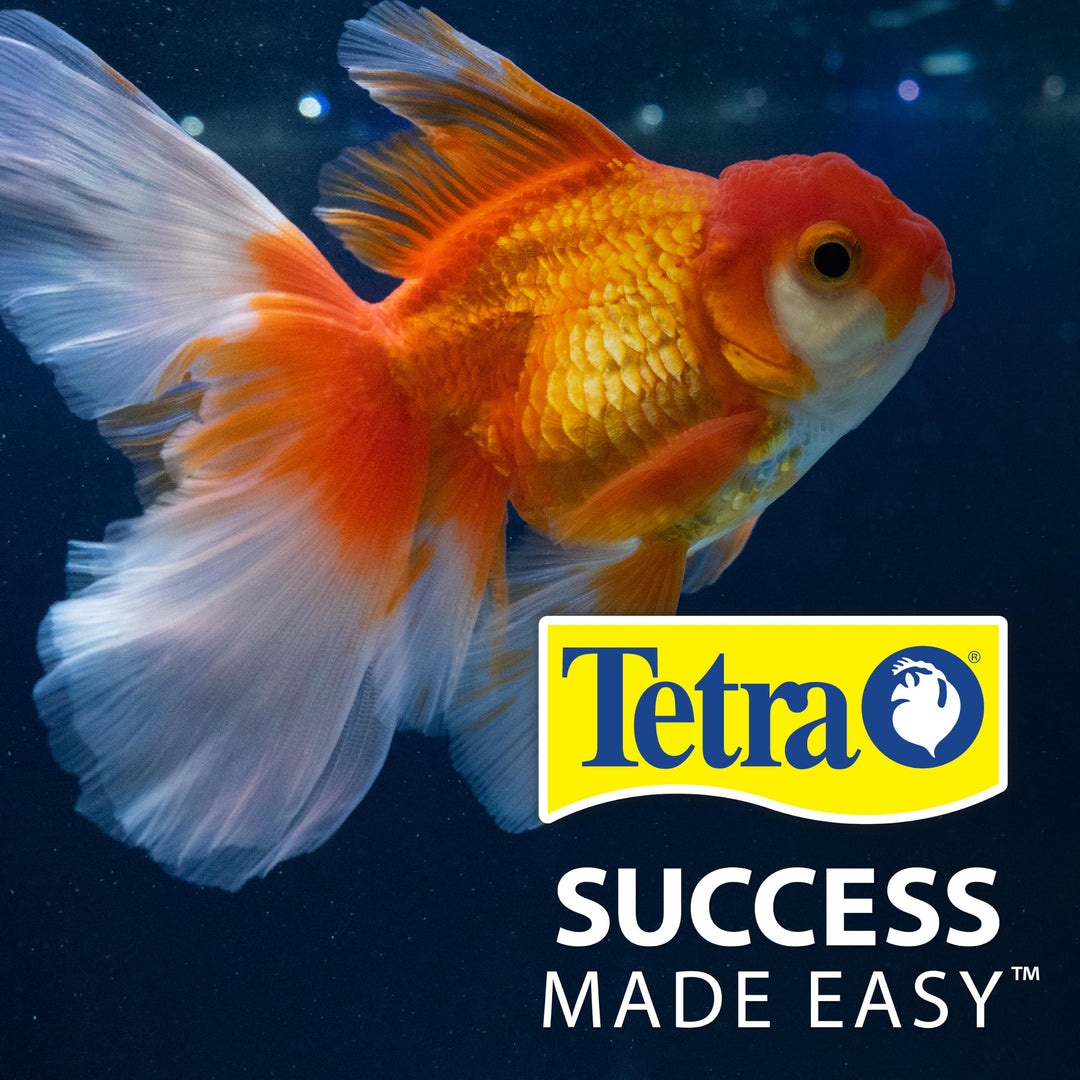 Tetra Goldfish Flakes Fish Food, 2.2 oz
