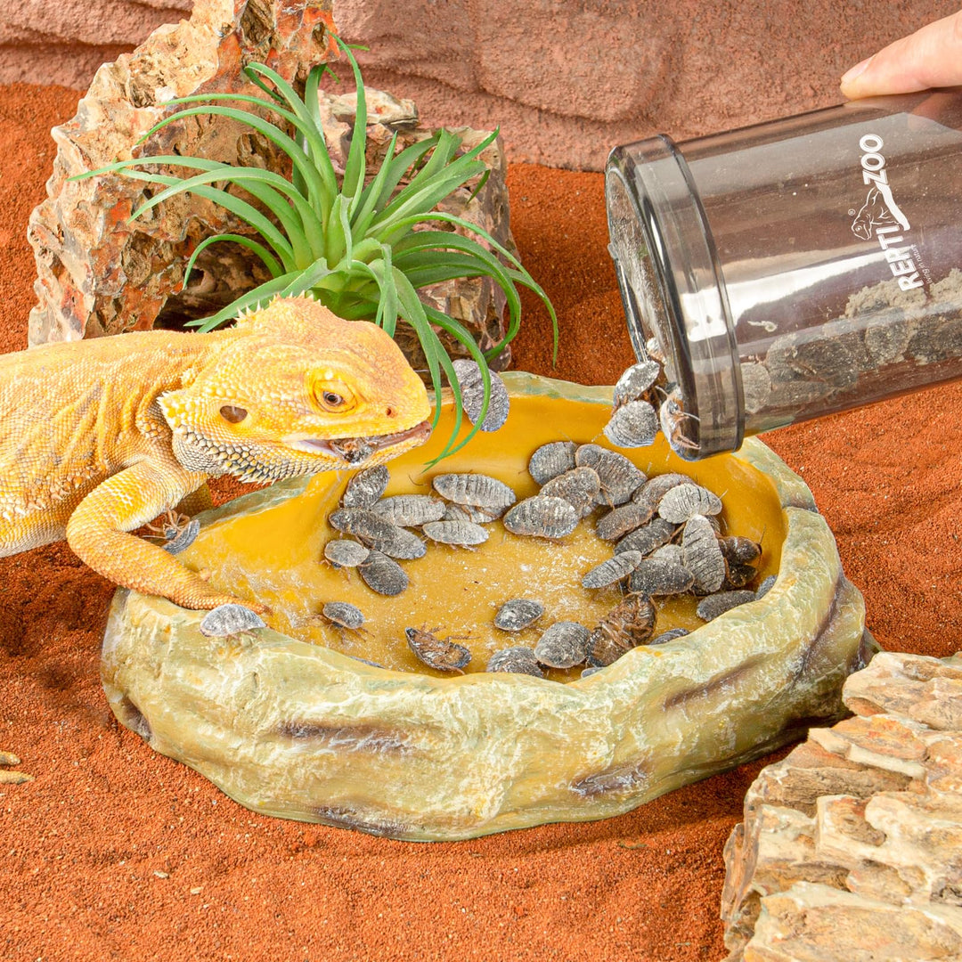 REPTI ZOO Reptile Cricket Calcium Powder Mixer, Cricket Keeper Shaker for Bearded Dragon Gecko Snake Lizards, Dispenser Feeder for Chameleon Reptile &amp; Amphibians