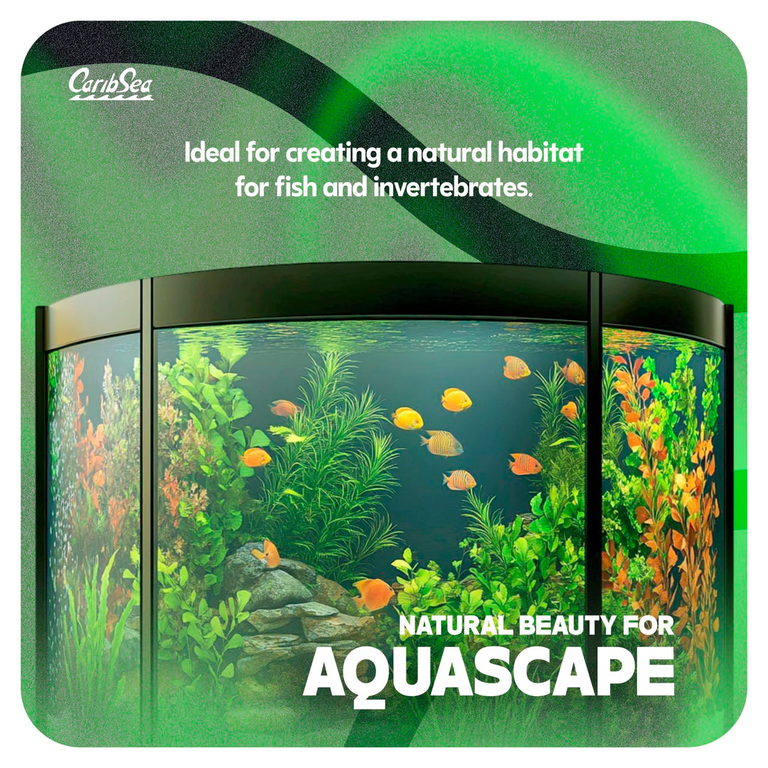 CaribSea Moonlight Sand - 20 lbs - Soft &amp; Natural Substrate for Freshwater Aquariums, Enhances Aesthetic Appeal &amp; Supports Aquatic Environments