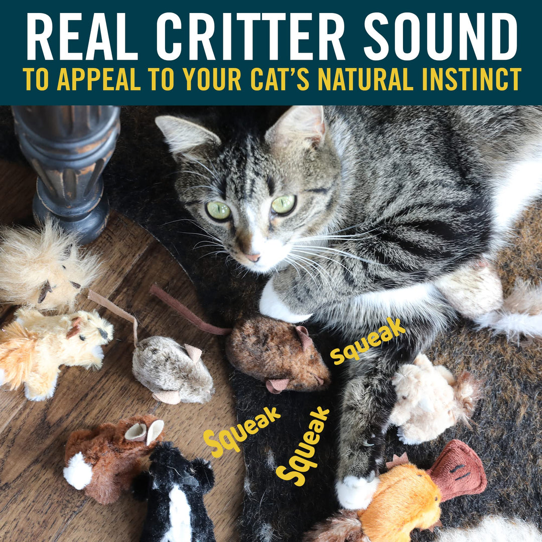 OurPets Play-N-Squeak Mouse Hunter Cat Toys with Catnip