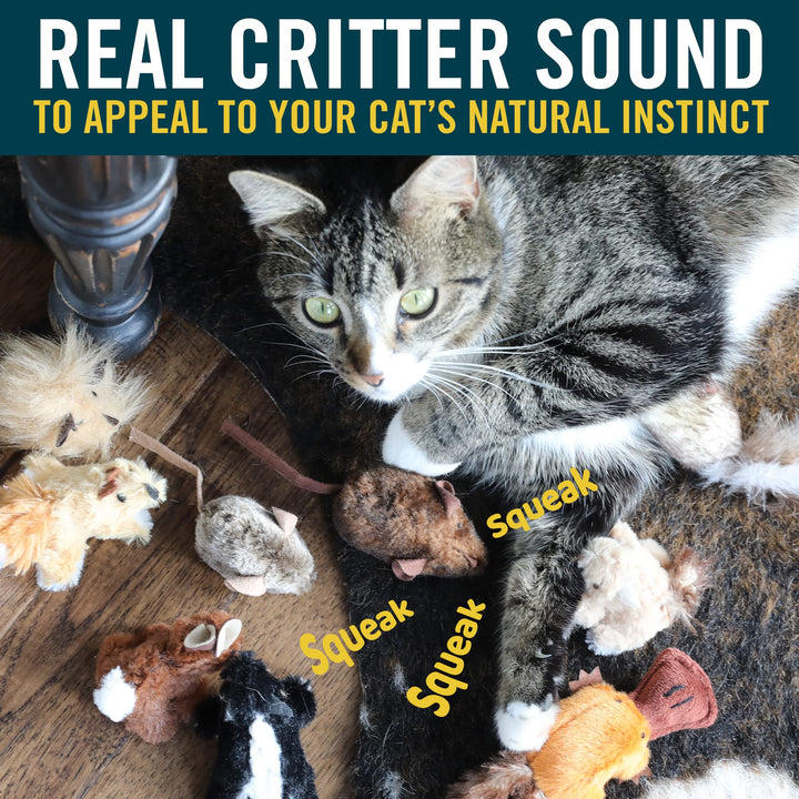 OurPets Play-N-Squeak Mouse Hunter Cat Toys with Catnip