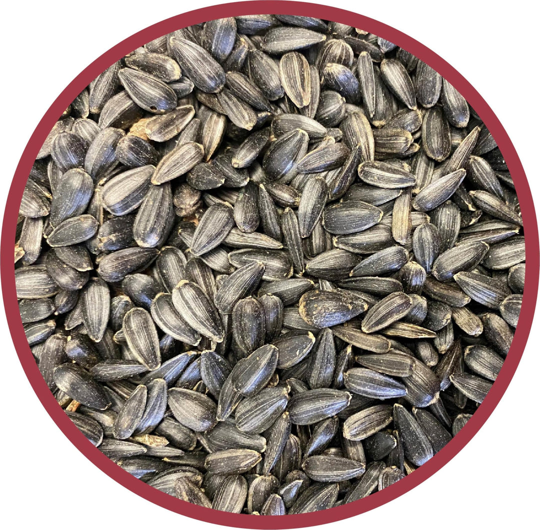 Pennington Select Black Oil Sunflower Seed 40lbs