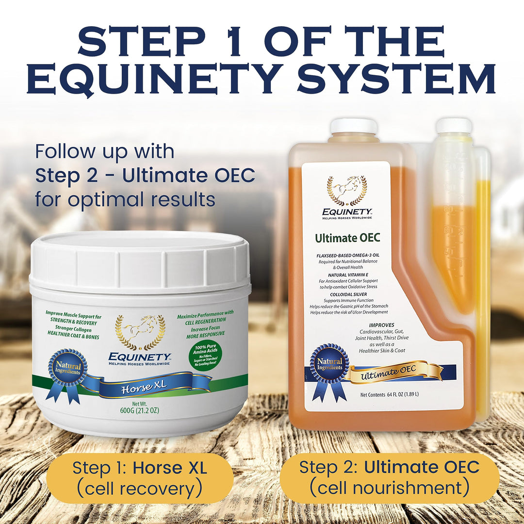 100-Day Supply Equinety Horse XL Powder Horse Supplement with Amino Acids