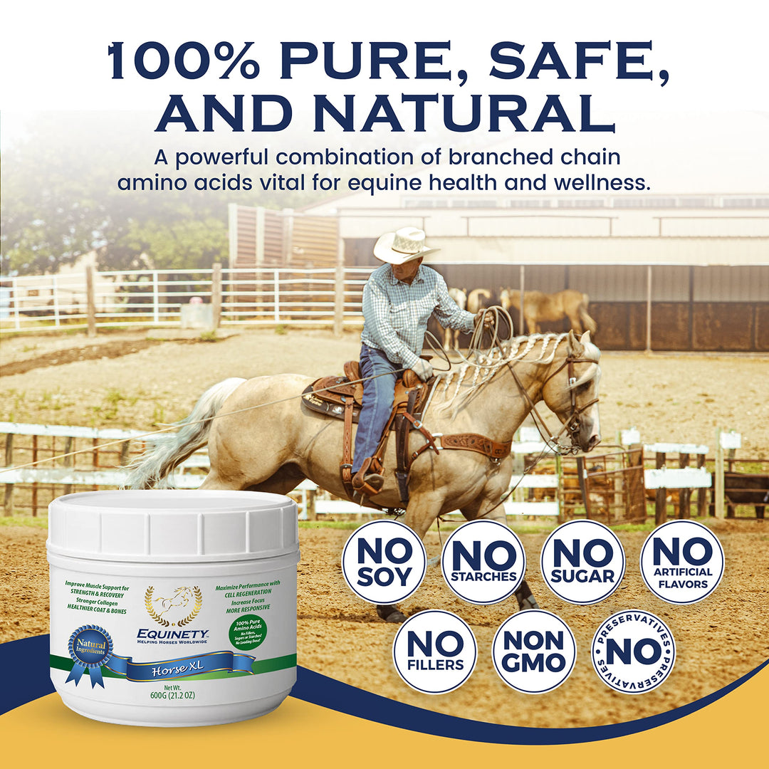 100-Day Supply Equinety Horse XL Powder Horse Supplement with Amino Acids