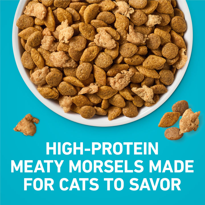 Purina ONE Tender Selects Dry Cat Food, Chicken, 22 lb Bag