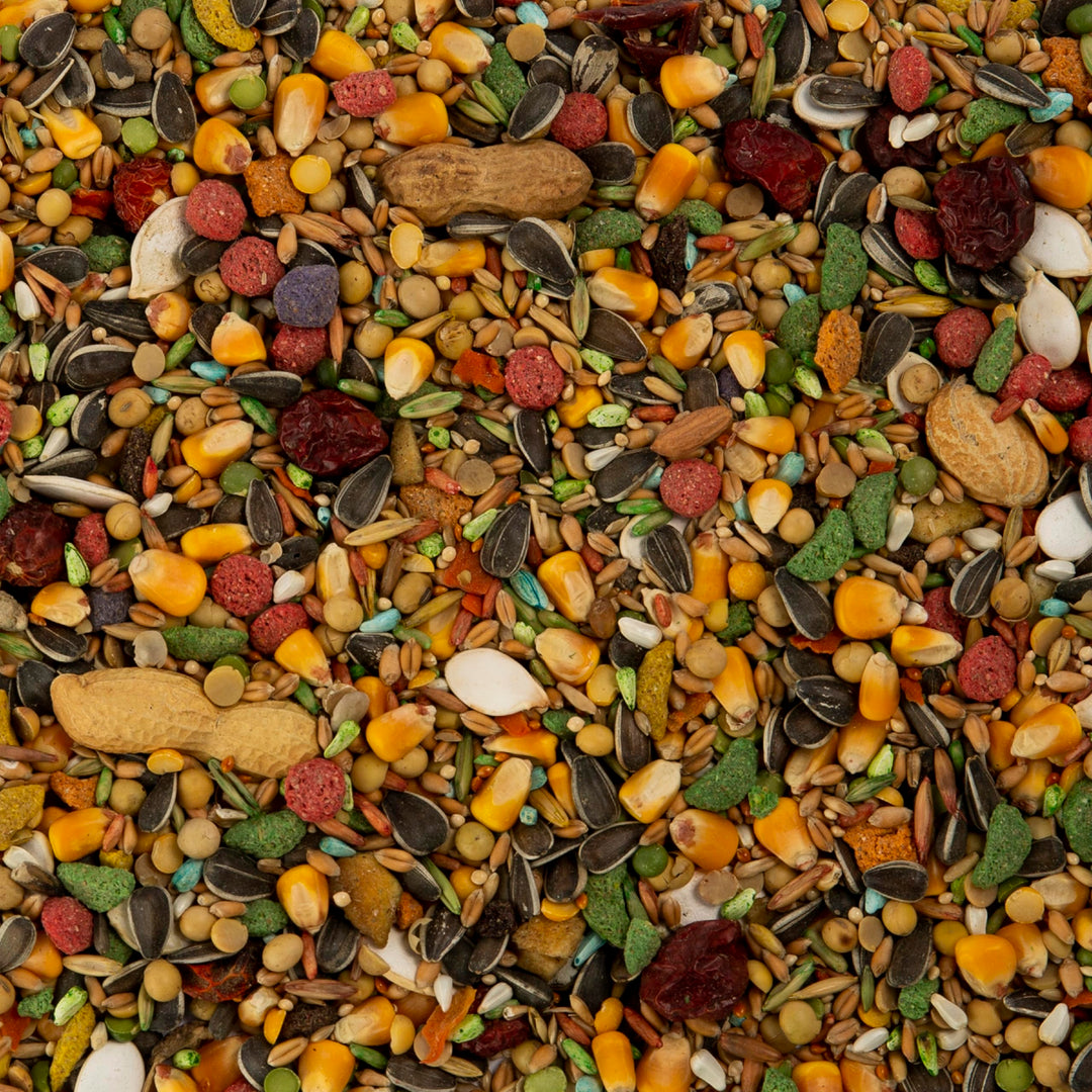 Wild Harvest Advanced Nutrition Bird Food For Parrots, 4 lbs