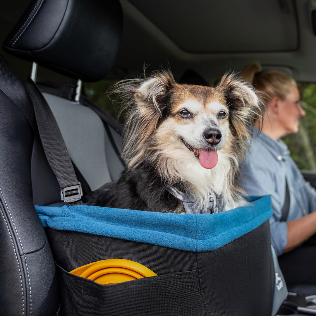 Kurgo Rover Pet Booster Seat for Small Dogs or Cats, Front &amp; Rear Dog Car Seat, Carrier Carseat for Pets, Dog Seatbelt Tether, Helps with Canine Car Sickness
