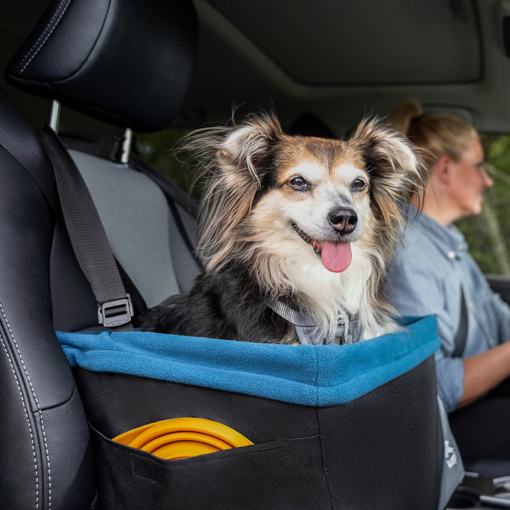 Kurgo Rover Pet Booster Seat for Small Dogs or Cats, Front &amp; Rear Dog Car Seat, Carrier Carseat for Pets, Dog Seatbelt Tether, Helps with Canine Car Sickness