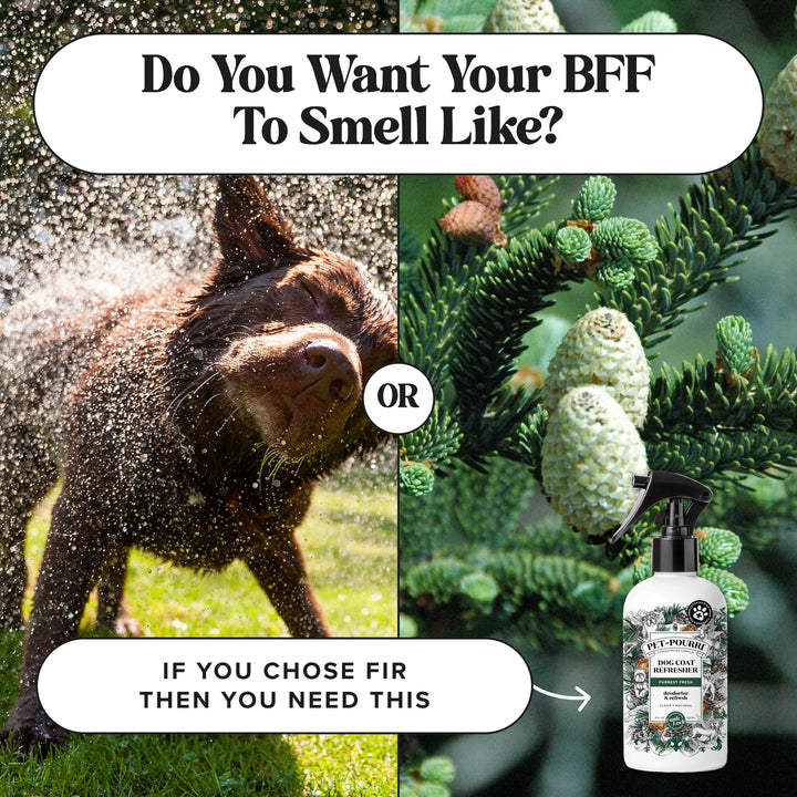 Poo-Pourri Furrest Fresh Dog Deodorizing Spray, 8 Fl Oz
