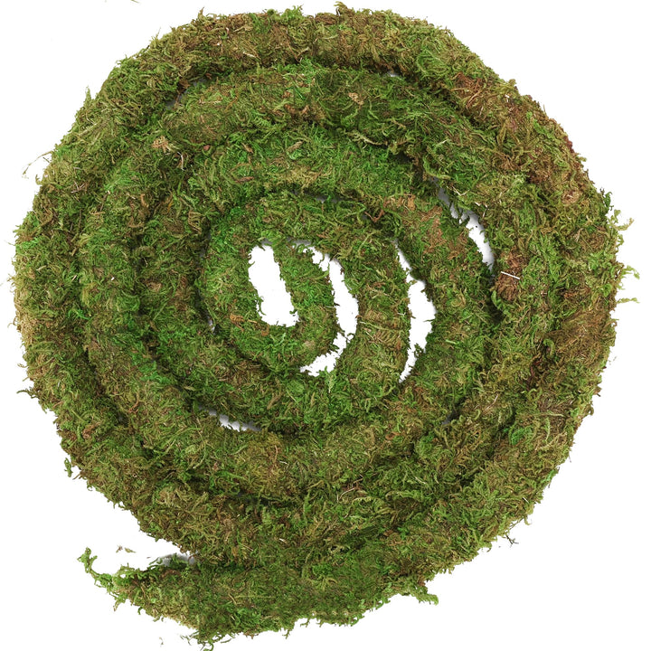 USMOLA Moss Vine for Reptiles, Bendable Climbing Vines Reptile Tank Accessories, Natural Moss Rope for Leopard Gecko, Lizard, Snake, Chameleon, Frog Terrarium Decor (Jungle Green, 6.5 FT)