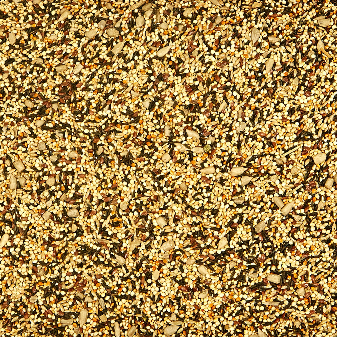 Kaytee Wild Finch Bird Food Stand Up Bag, 5 Pounds