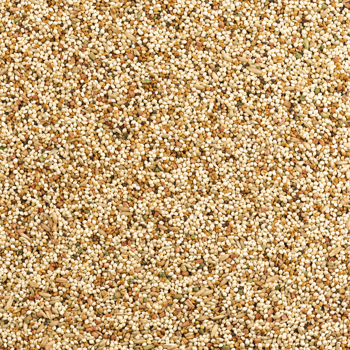 Wild Harvest Daily Blend Nutrition Diet for Parakeet, Canary and Finch, Orange Flavored, 10 Pounds (Pack of 2)