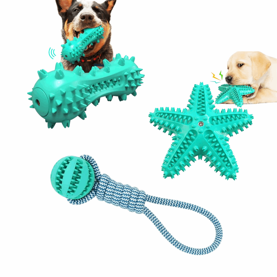 3 Pack Squeaky Toothbrush & Cotton Rope Ball Dog Toys