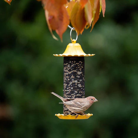 More Birds Little Bit Finch Screen Feeder-1 count-