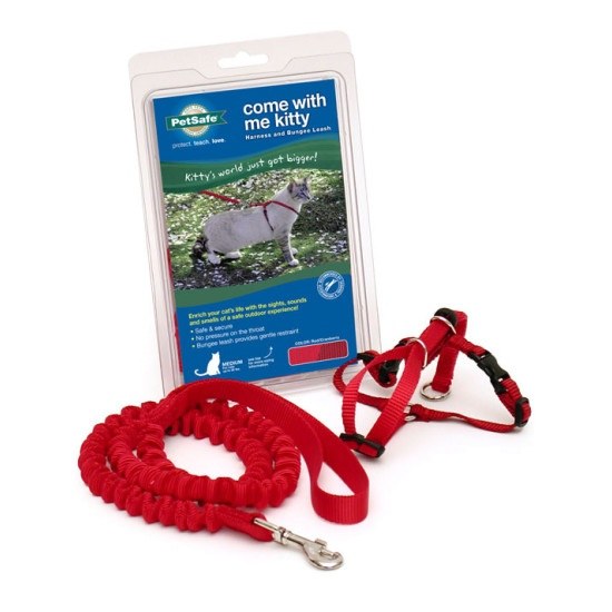 PetSafe Premier Come With Me Kitty Harness & Bungee Leash Combo Red/Cranberry 1ea/SM-