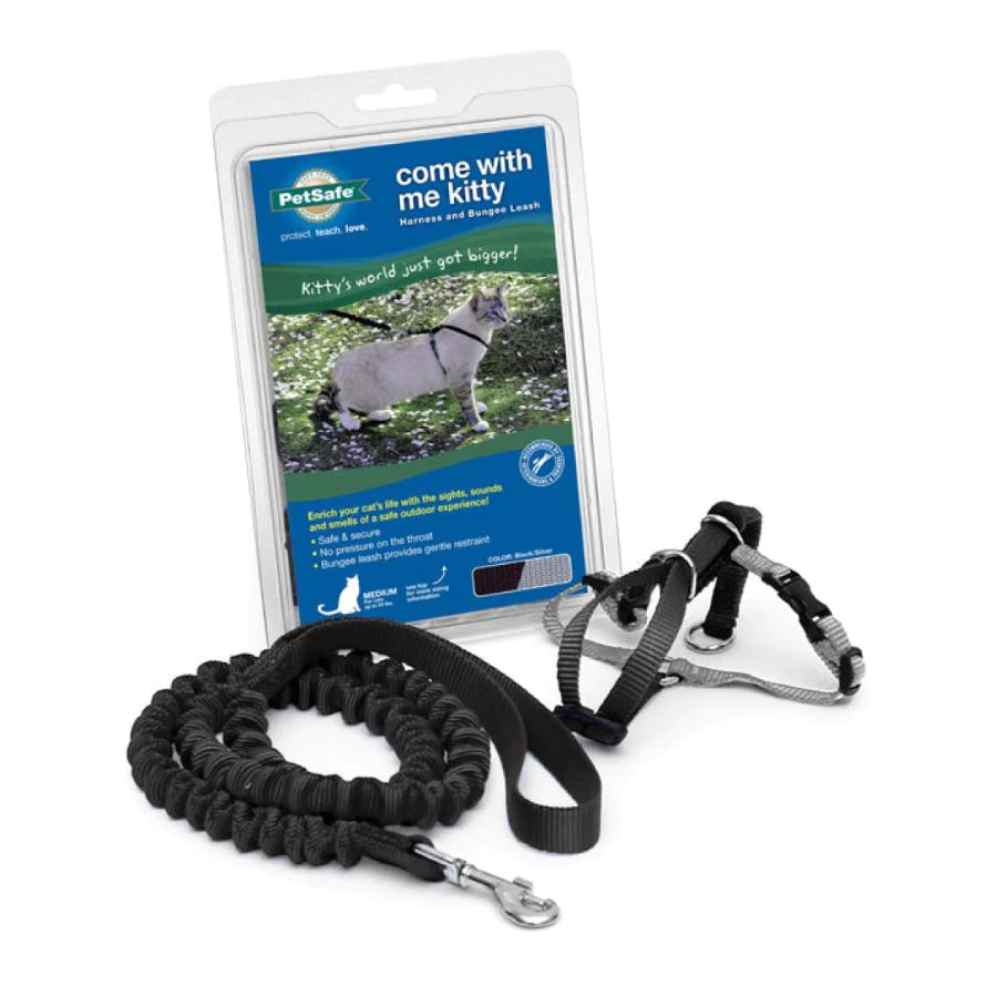 PetSafe Premier Come With Me Kitty Harness & Bungee Leash Combo Black/Silver 1ea/SM-